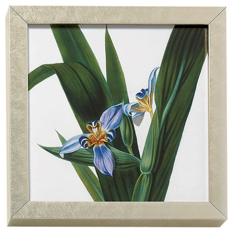 Horticultural Society: Iris art block